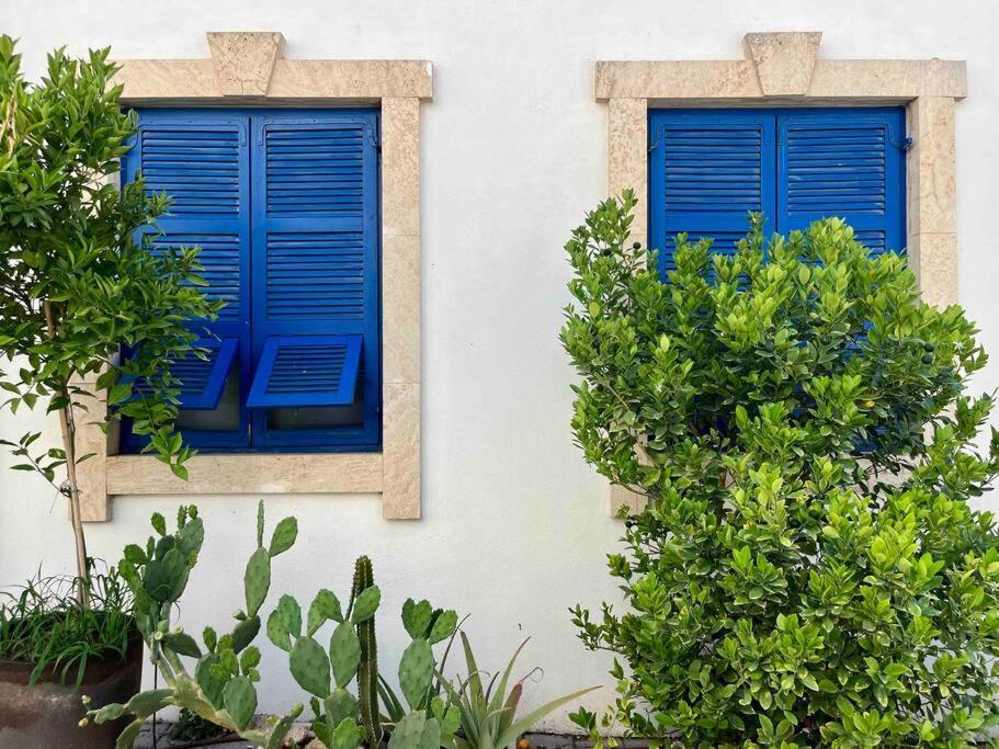The - Neve Tzedek *